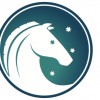 Southern Cross Equestrian