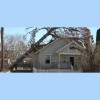 Economy Tree Service