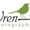 Wren Photography