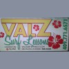 Valz Surf Lessons