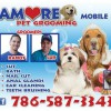 Amore Pet Grooming