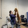 Grooming At Golden Paws