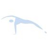 New Strength Pilates