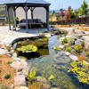 Sweetwater Landscape