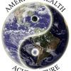 American Health Acupuncture