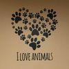 St Francis Animal Hospital