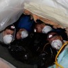 Your Crawlspace Guys