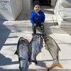 Net Minder Charters