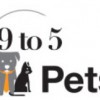 9 To 5 Pets