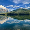 Schwartz Residential Group By Windermere