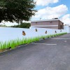 The Dog Patch