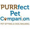 Purrfect Pet Companion
