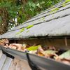 Gutter Glove