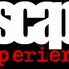 NW Escape Experience
