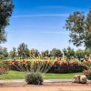 Sunland Village East Golf Course