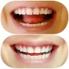 Montane Dental Care