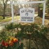 Skyline Kennels