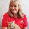 Just Fur-Babies Pet Sitting & Walking Services