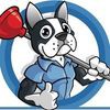 Drain Terrier