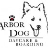 Arbor Dog Day Care