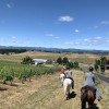 Fiddlestix Ranch