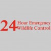 Pinnacle Wildlife Control