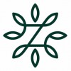 Zinus