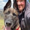 Toby's Top Dog Walking