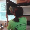 Green Maid Cleaning Services