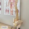 Inspire Chiropractic: Ariana Brosco Coletti, DC