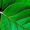 Winchester Natural Health Associates