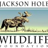 Jackson Hole Wildlife Foundation