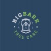 Big Bark Tree Care