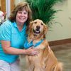 Village Square Veterinary Clinic