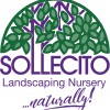 Sollecito Landscaping Nursery
