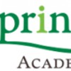 Spring Academy
