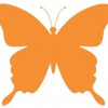 Safehaven Pest Control
