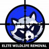 Elite Wildlife Removal