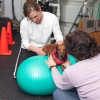 Companion Pet Sitting
