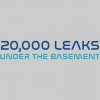 20,000 Leaks Under The Basement