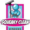 Squeaky Clean Window Cleaning