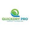QuickDry Pro Carpet Cleaning