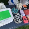 Hanuman Festival