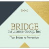 Bridge Insurance Group