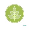 Newport Center Family Chiropractic