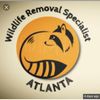 Wildlife Removal Specialist Of Atlanta