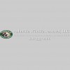Asheville Wildlife Removal