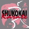 Tenafly Shukokai Karate