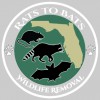 Rats To Bats Wildlife Removal