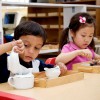American Montessori